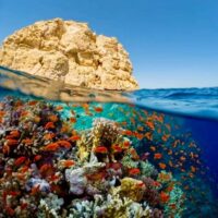 Red Sea, Egypt